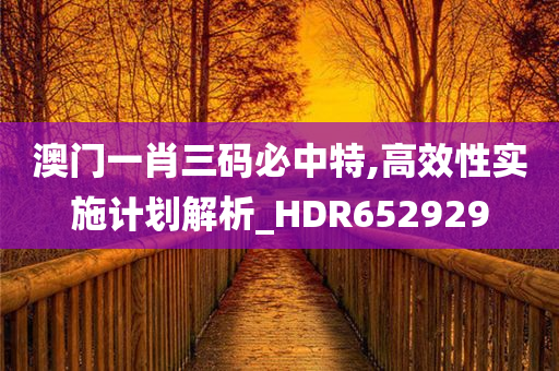 澳门一肖三码必中特,高效性实施计划解析_HDR652929