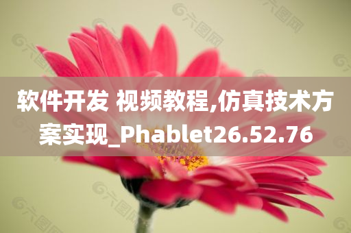 软件开发 视频教程,仿真技术方案实现_Phablet26.52.76