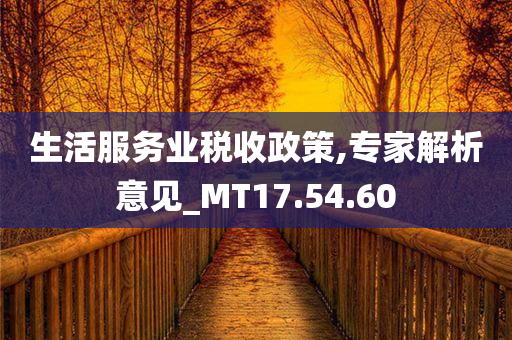 生活服务业税收政策,专家解析意见_MT17.54.60