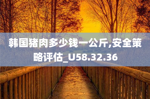 韩国猪肉多少钱一公斤,安全策略评估_U58.32.36