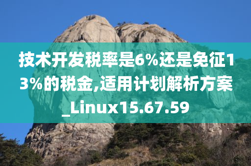 技术开发税率是6%还是免征13%的税金,适用计划解析方案_Linux15.67.59