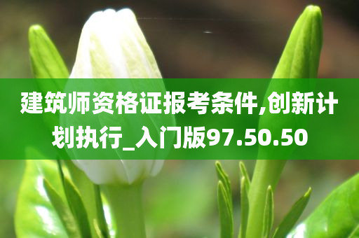 建筑师资格证报考条件,创新计划执行_入门版97.50.50