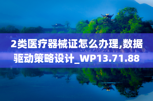 2类医疗器械证怎么办理,数据驱动策略设计_WP13.71.88