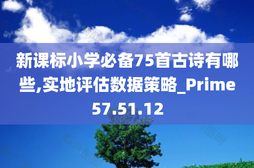 新课标小学必备75首古诗有哪些,实地评估数据策略_Prime57.51.12