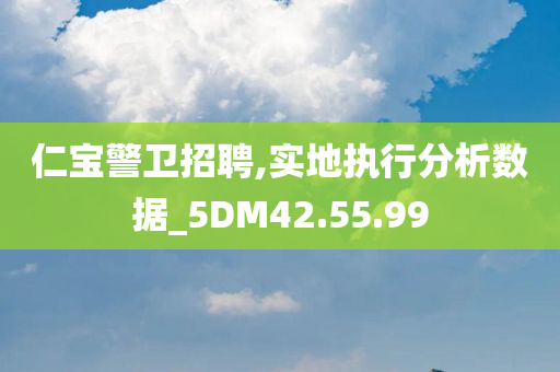 仁宝警卫招聘,实地执行分析数据_5DM42.55.99