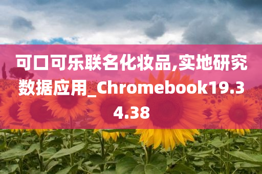 可口可乐联名化妆品,实地研究数据应用_Chromebook19.34.38