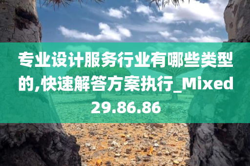 专业设计服务行业有哪些类型的,快速解答方案执行_Mixed29.86.86