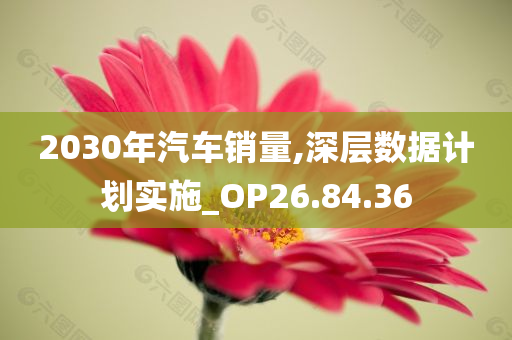 2030年汽车销量,深层数据计划实施_OP26.84.36