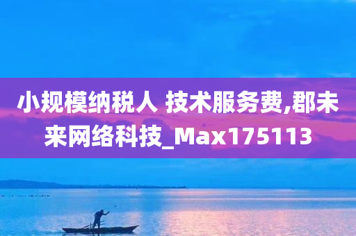 小规模纳税人 技术服务费,郡未来网络科技_Max175113