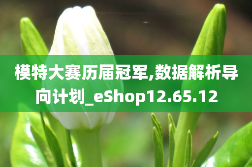 模特大赛历届冠军,数据解析导向计划_eShop12.65.12