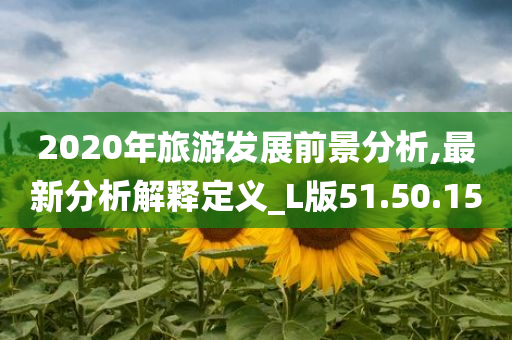 2020年旅游发展前景分析,最新分析解释定义_L版51.50.15