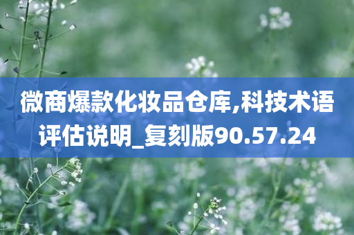 微商爆款化妆品仓库,科技术语评估说明_复刻版90.57.24