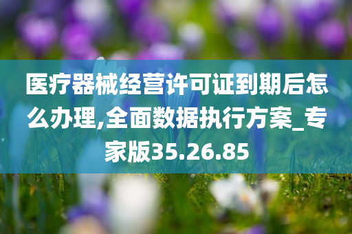 医疗器械经营许可证到期后怎么办理,全面数据执行方案_专家版35.26.85