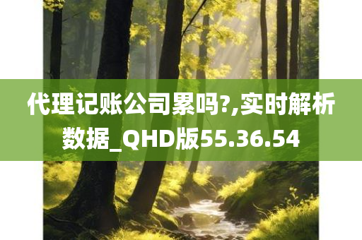 代理记账公司累吗?,实时解析数据_QHD版55.36.54