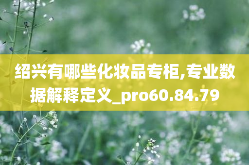 绍兴有哪些化妆品专柜,专业数据解释定义_pro60.84.79