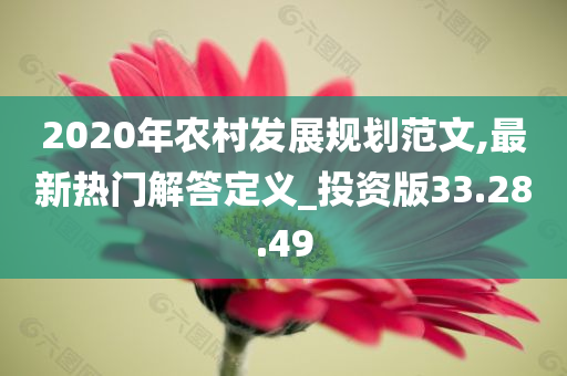 2020年农村发展规划范文,最新热门解答定义_投资版33.28.49