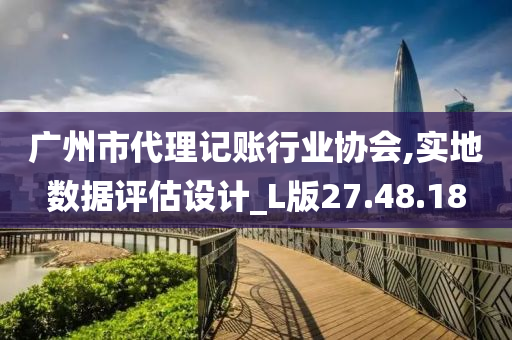 广州市代理记账行业协会,实地数据评估设计_L版27.48.18