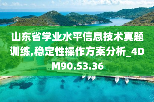 山东省学业水平信息技术真题训练,稳定性操作方案分析_4DM90.53.36