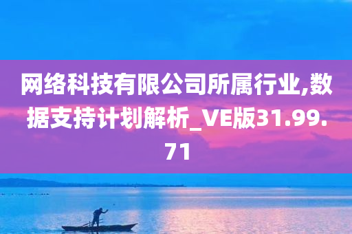 网络科技有限公司所属行业,数据支持计划解析_VE版31.99.71