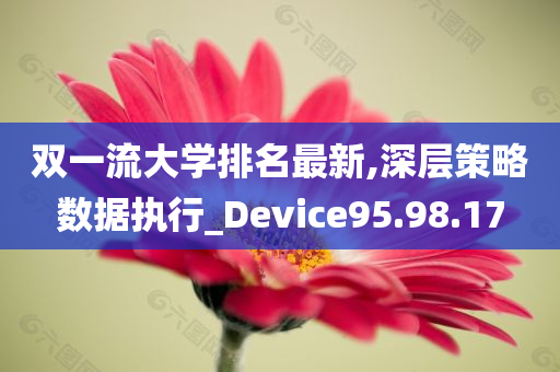 双一流大学排名最新,深层策略数据执行_Device95.98.17