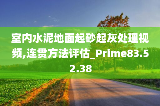 室内水泥地面起砂起灰处理视频,连贯方法评估_Prime83.52.38