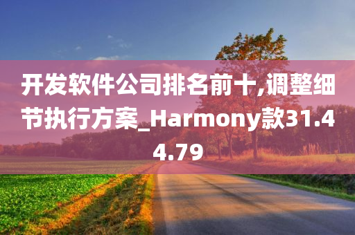 开发软件公司排名前十,调整细节执行方案_Harmony款31.44.79