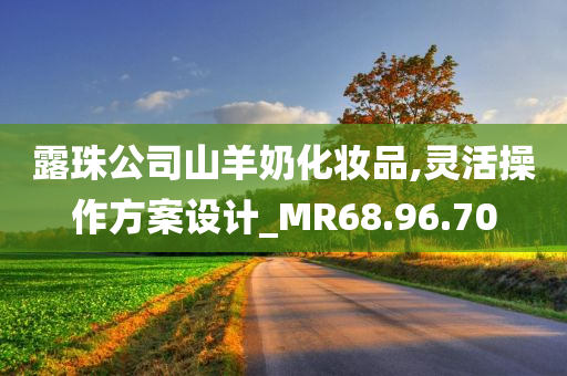 露珠公司山羊奶化妆品,灵活操作方案设计_MR68.96.70