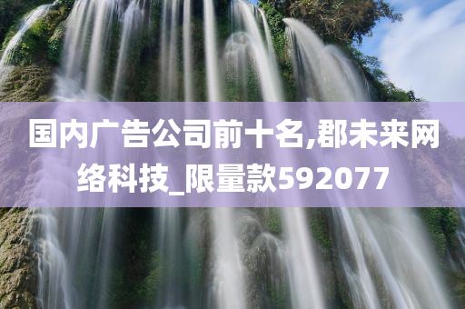 国内广告公司前十名,郡未来网络科技_限量款592077