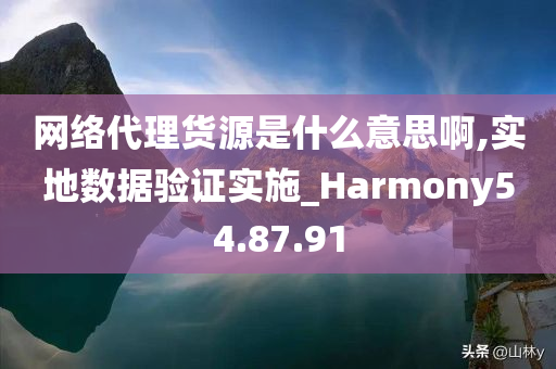 网络代理货源是什么意思啊,实地数据验证实施_Harmony54.87.91