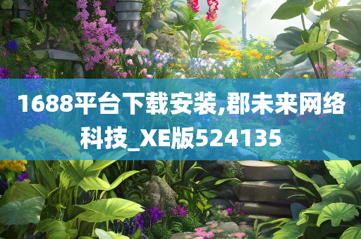 1688平台下载安装,郡未来网络科技_XE版524135