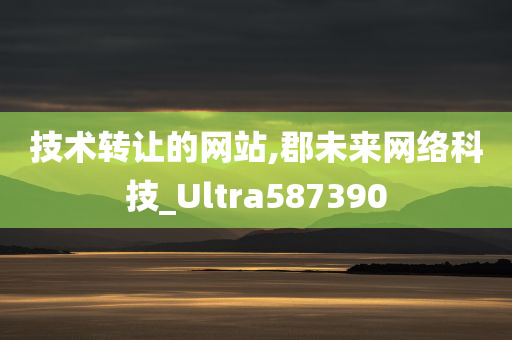 技术转让的网站,郡未来网络科技_Ultra587390