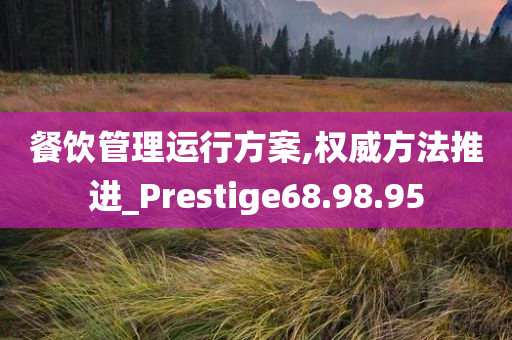 餐饮管理运行方案,权威方法推进_Prestige68.98.95