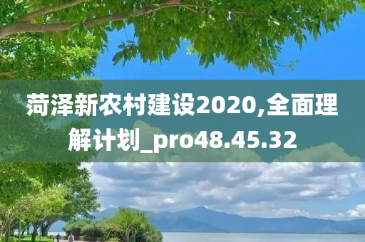 菏泽新农村建设2020,全面理解计划_pro48.45.32