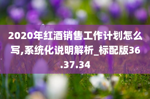 2020年红酒销售工作计划怎么写,系统化说明解析_标配版36.37.34