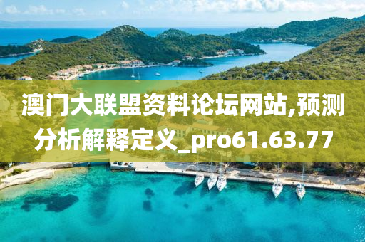 澳门大联盟资料论坛网站,预测分析解释定义_pro61.63.77