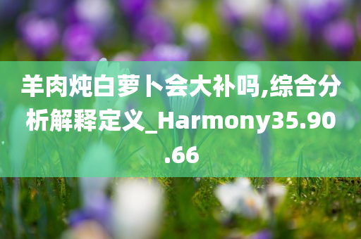 羊肉炖白萝卜会大补吗,综合分析解释定义_Harmony35.90.66