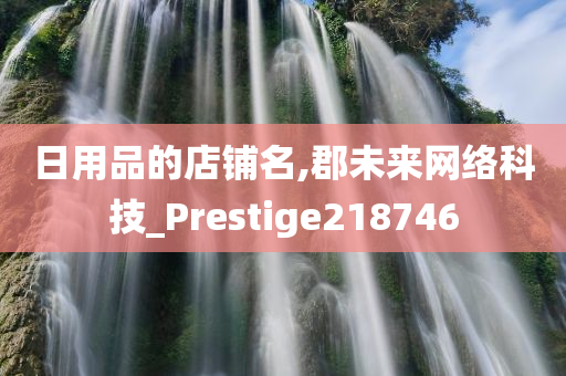 日用品的店铺名,郡未来网络科技_Prestige218746