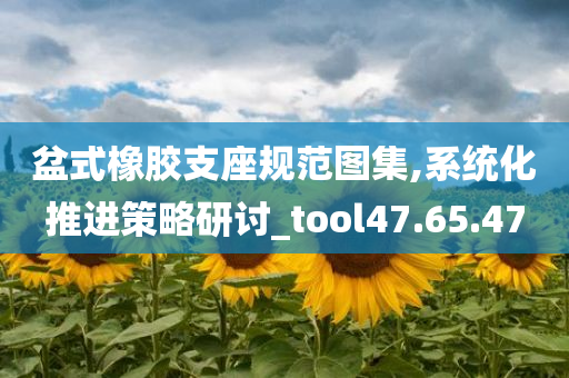 盆式橡胶支座规范图集,系统化推进策略研讨_tool47.65.47