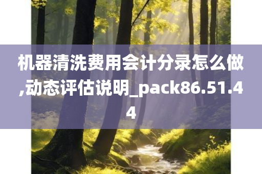 机器清洗费用会计分录怎么做,动态评估说明_pack86.51.44