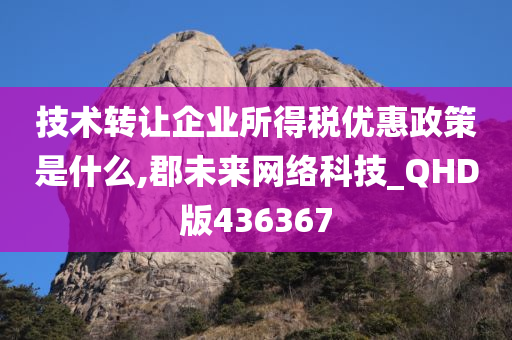 技术转让企业所得税优惠政策是什么,郡未来网络科技_QHD版436367