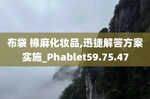 布袋 棉麻化妆品,迅捷解答方案实施_Phablet59.75.47