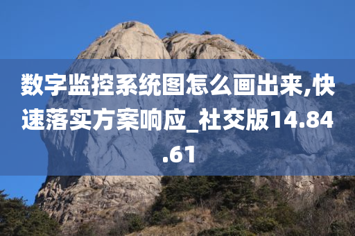 数字监控系统图怎么画出来,快速落实方案响应_社交版14.84.61