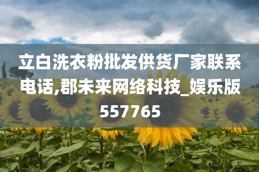 立白洗衣粉批发供货厂家联系电话,郡未来网络科技_娱乐版557765