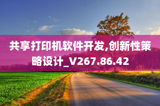 共享打印机软件开发,创新性策略设计_V267.86.42