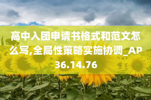 高中入团申请书格式和范文怎么写,全局性策略实施协调_AP36.14.76