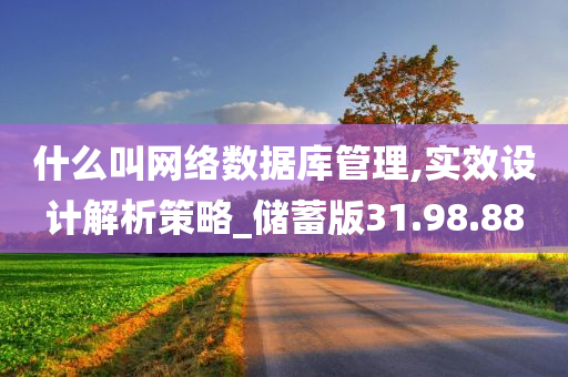 什么叫网络数据库管理,实效设计解析策略_储蓄版31.98.88