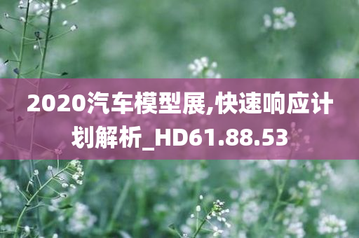 2020汽车模型展,快速响应计划解析_HD61.88.53