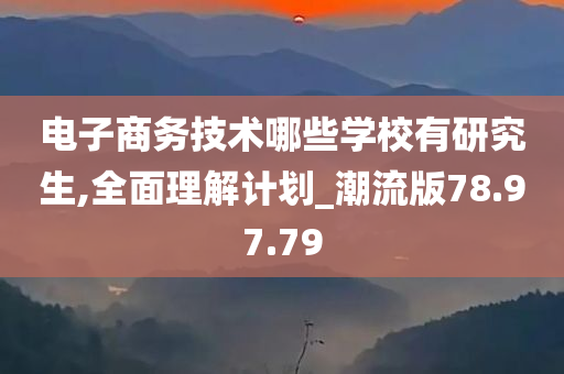 电子商务技术哪些学校有研究生,全面理解计划_潮流版78.97.79