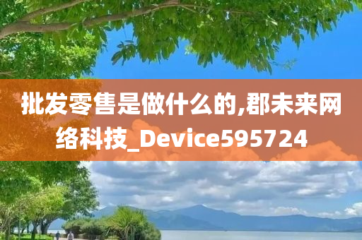 批发零售是做什么的,郡未来网络科技_Device595724