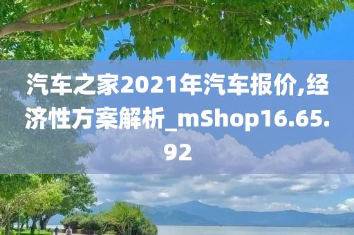 汽车之家2021年汽车报价,经济性方案解析_mShop16.65.92